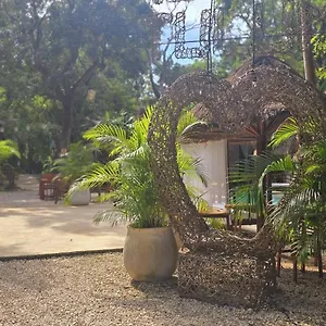  Gasthuis Kin Jungle Deluxe